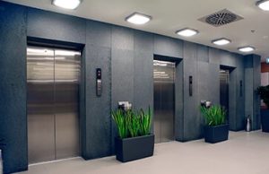 Elevator Amc Company in Punjabi bagh - Delhi